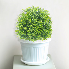 �F؛���滨�ȼ����S���~�ز廨����ͥԺ���@�Ҿ��b���Gֲ����