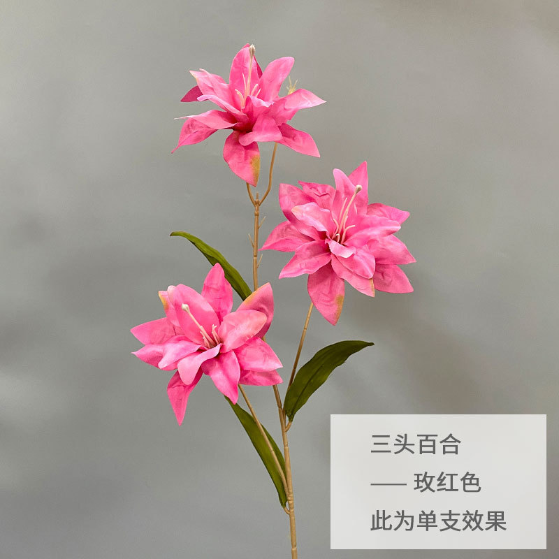 로즈 레드