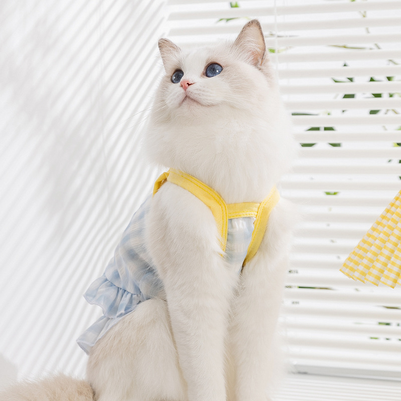 Primavera y verano gatos sin pelo gatito cachorro falda de macarón cuadrilátero de dibujos animados falda de cinturón perros mascotas ropa de verano