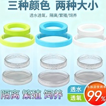 小型鱼卵鱼鱼缸孵化盒孔雀鱼繁殖隔离盒苗斑马鱼斗鱼缸内用品产卵