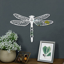 JM1082�羳3D���w�U�վ��l���с������R���N�Ҿ��b���ճ�R�Ӡ��N