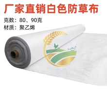 �r�ð�ɫ���ݲ����ҷNֲȫ���ϼӺ��ͷ��ݲ��w�ݲ��s�ݵز�����