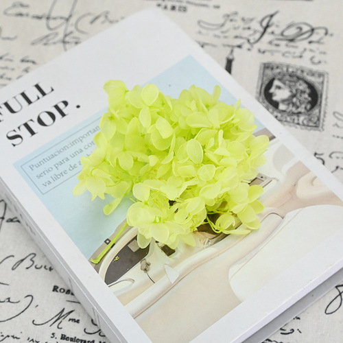 Magic flower eternal flower domestic A-grade wooden hydrangea 4 grams diy material package jersey handmade flower small Valentine's Day gift