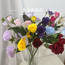 ins�L6�^��۹����滨�ٻ��͏d�b�Ʒ�����[���鼆�zӰ��c�廨