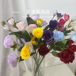 ins�L6�^��۹����滨�ٻ��͏d�b�Ʒ�����[���鼆�zӰ��c�廨