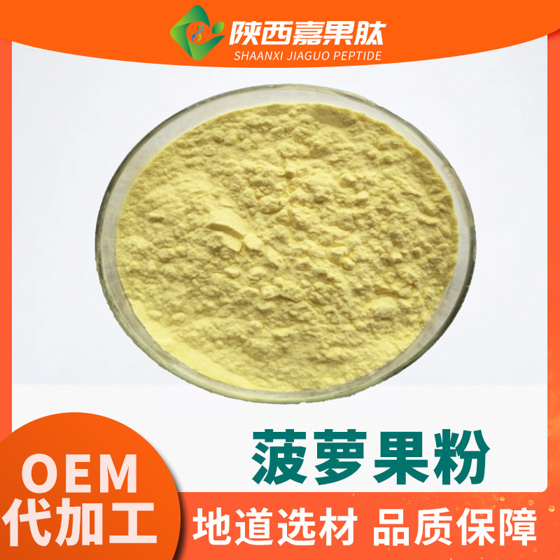 菠萝果粉 99% 现货 速溶菠萝冻干粉 植物果蔬粉 喷雾干燥 菠萝粉