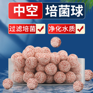 �~���^�V�����п�ʯӢ�����ˮ�|�����������մɭh������ɫ�����