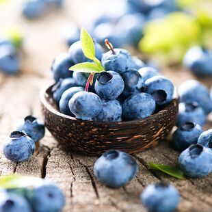 �Fժ�F�l ������r�{ݮ��������r���ЋDˮ�� ���M�������{ݮ���]