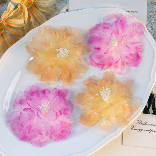 ����diy����W��������u׃��Ƭ���Ļ�����滨����^�����o��