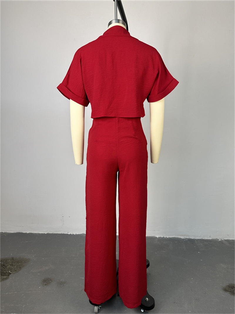 Holiday Daily Women's Casual Solid Color Polyester Button Pant Co-ord Set Pants Sets display picture 5