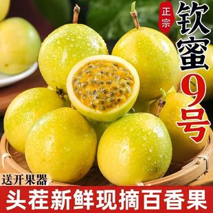 �V�����ښJ��9̖�S���������rˮ����������������]-�����ۺ�