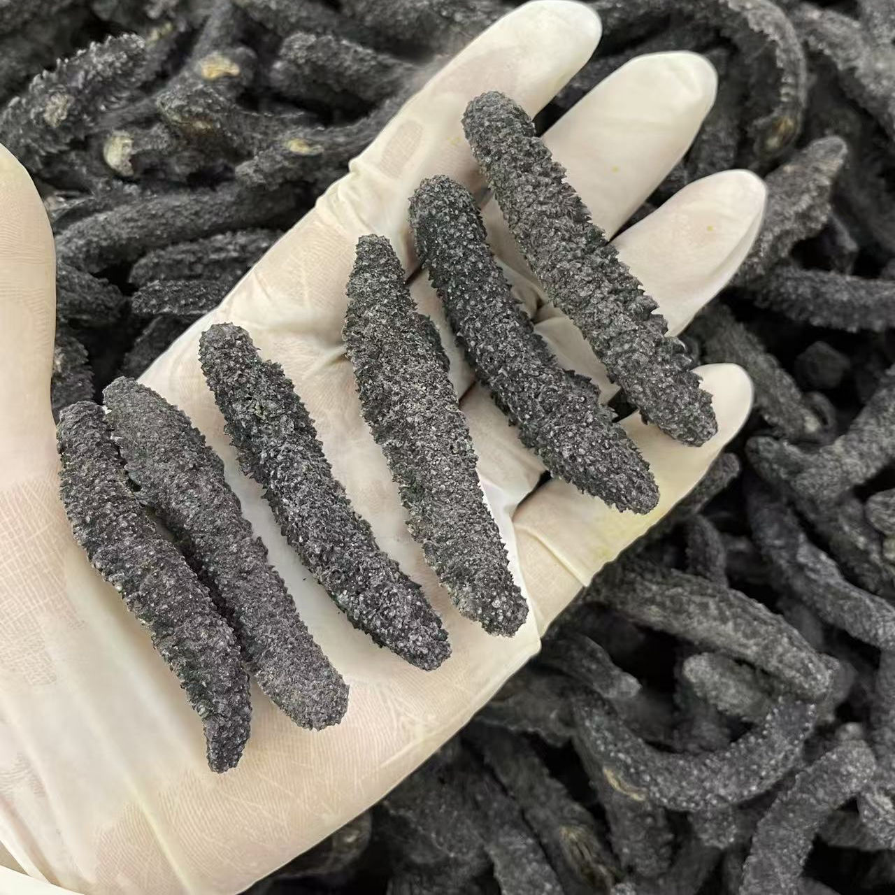 120�^500g�̶d��������؛��Ʒ�����؃r�������l����ڷǼ�ʳ�r��