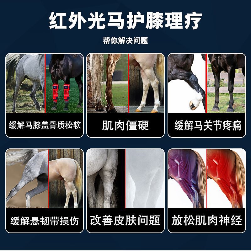 国境を越えた充電式赤色光馬膝理学療法器具遠赤外線温湿布骨折腱損傷リハビリテーション馬膝パッド|undefined