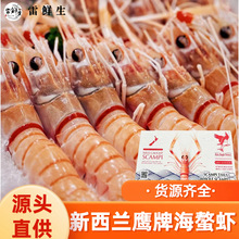 原装新西兰鹰牌鳌虾南极深海海螯虾斯干比Scampi日料刺身1/2/5号