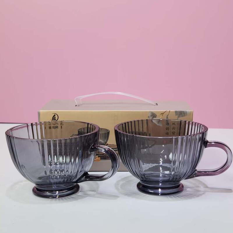 Junlan Glass Cup Two-Piece Set for Home Use, Large Capacity Milk Cup with Handle, Tea Cup Gift Set