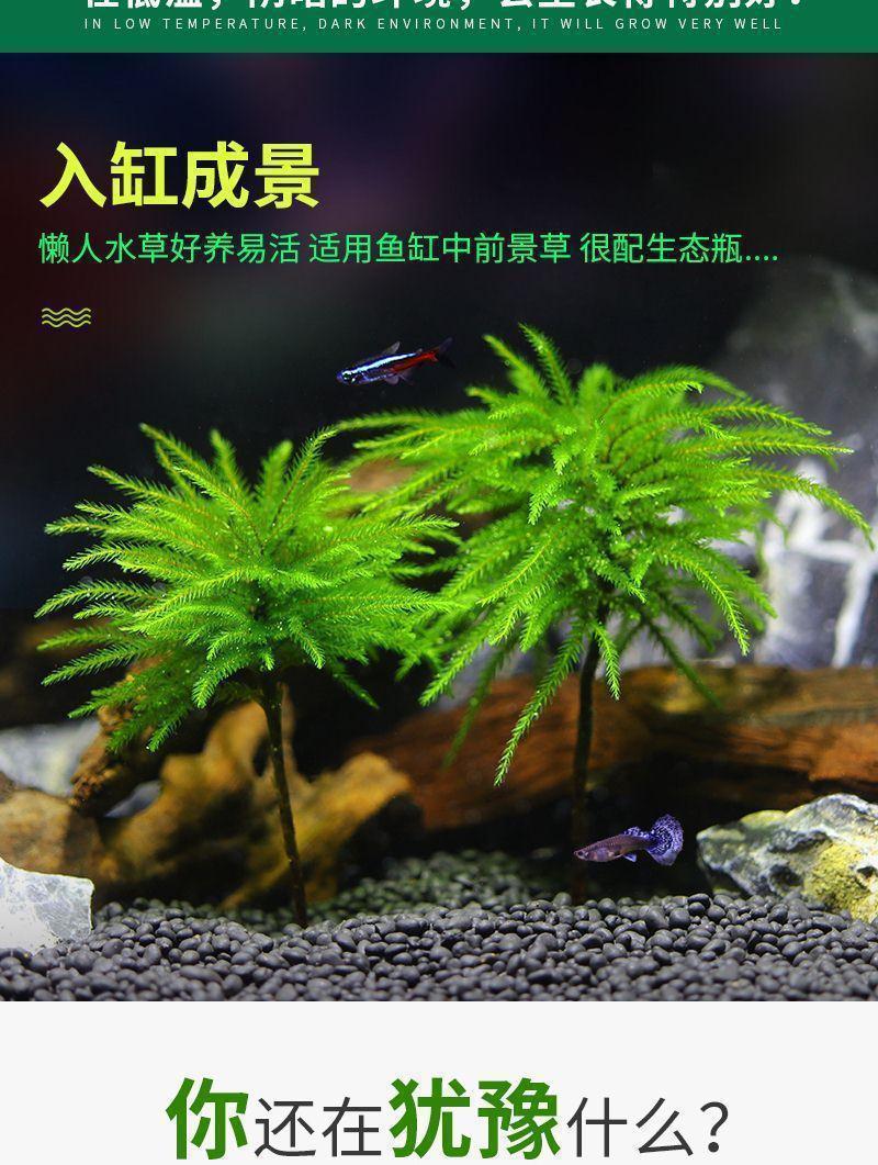 b597f676-b92a-44f0-84df-f9cf317d95a9.jpe