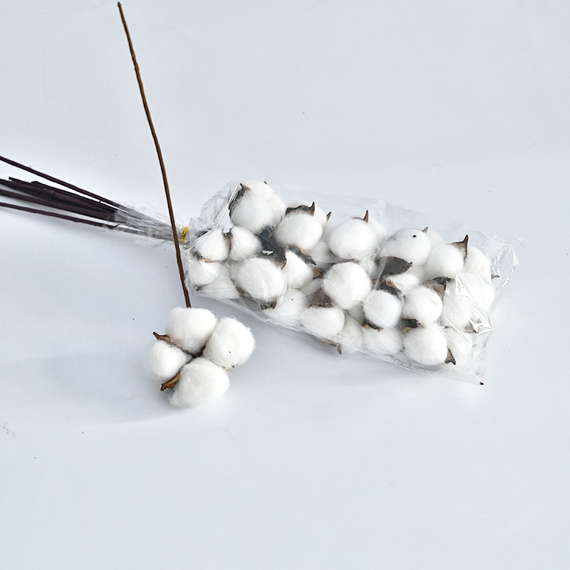 Ins algodón natural diadema Varilla flor seca arreglo floral diy hecho a mano Bouquet decoración material tiro tienda de flores suministros