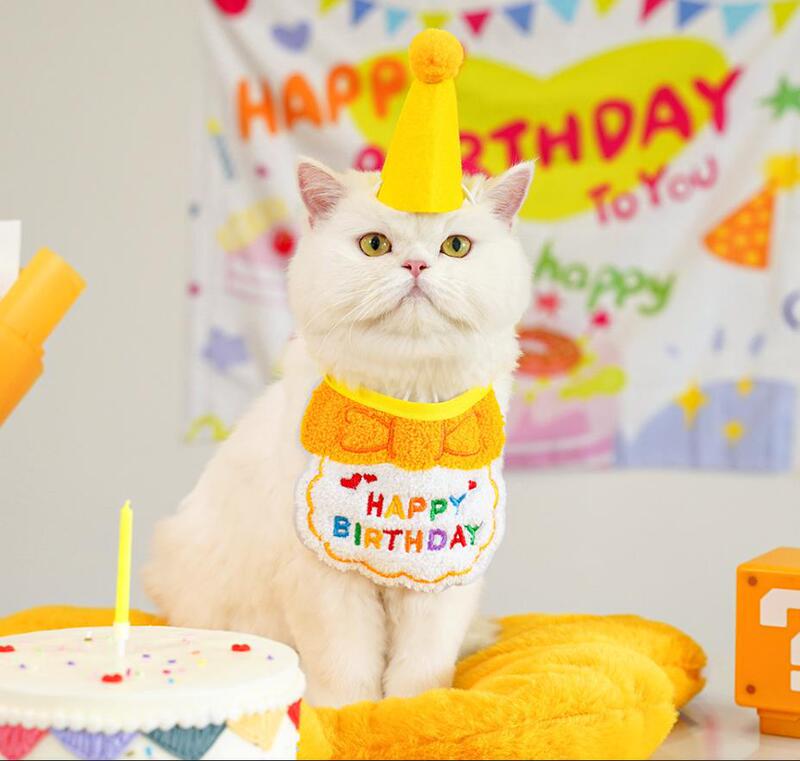 宠物狗狗猫咪生日派对装饰装扮围脖拍照道具围巾帽子围兜蛋糕蜡烛|undefined