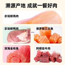 ����؈��ʳ�u����؈����ʳ�u������������u�������~������