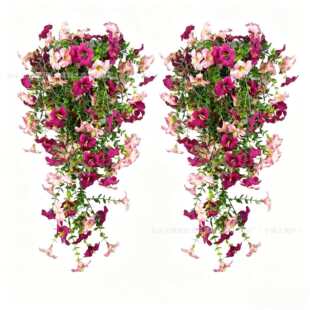 �羳��ʽ�ڒ�������ϻ��ȼ�����ţ���ٗl�͏d�҃ȷ��g�젝�b�