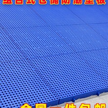 ���Ϸ����|��}���̨�бP��̨�����؉|��ˮ����؛�������