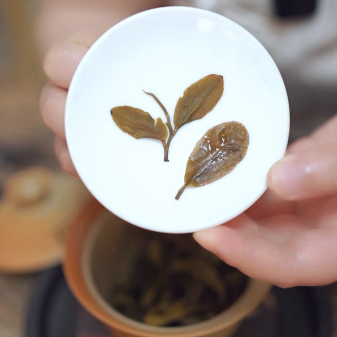 Cat Ear Pu'Er Raw Tea from Ancient Trees, 500G/Bag, Yunnan 2025 First Spring Sun-Dried Loose Tea Wholesale Cat Ear Pu'Er Raw Tea from Ancient Trees, 500G/Bag, Yunnan 2025 First Spring Sun-Dried Loose Tea Wholesale