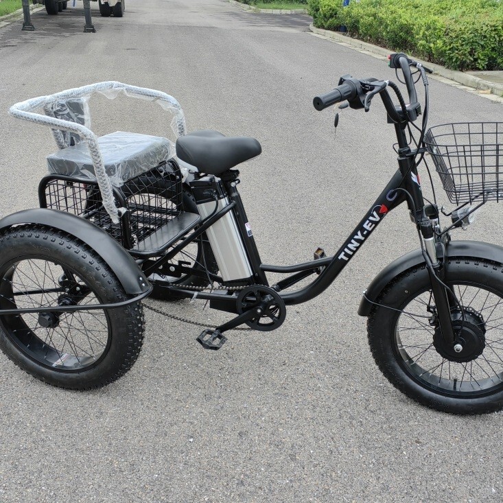 Santie 20inch Hot Sale In-Stock Export Fat Tire Snow Cart with Rear Seat for Passenger and Cargo Lithium Battery Tricycle