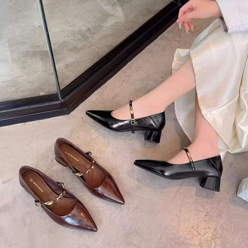 French Brown Pointed Toe Thick Heel Flats for Women 2025 Spring & Fall New Retro Metal One-Line Shallow Mouth Mary Jane Shoes