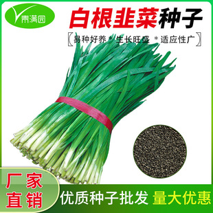 791���~ѩ�������׸��²˷N�Ӵ������N�r����@�̨�߲˷N��