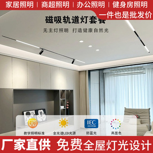 Embedded Magnetic Track Light Smart Home Living Room Dining Room Bedroom Led No Main Light Lighting Zhongshan Ancient Town Lamp