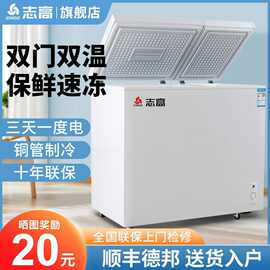 双门冰柜家用双温小冰柜小型冷柜冰箱双开门冷冻柜