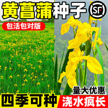 �S���ѷN���S���Sβˮ����ˮֲ����ˮ����ˮ�ݷN��������ˮ�T��