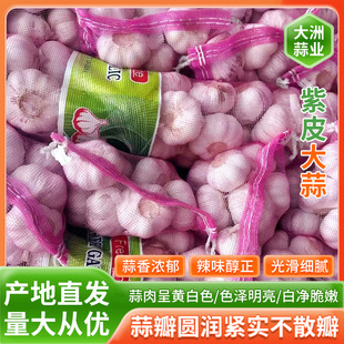 2025�����݃�����������10KG�W��Դ�^���S���̙zԭ�a��ֱ�l���^�s