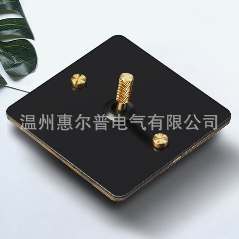 Mounted black retro switch key, light panel stainless steel