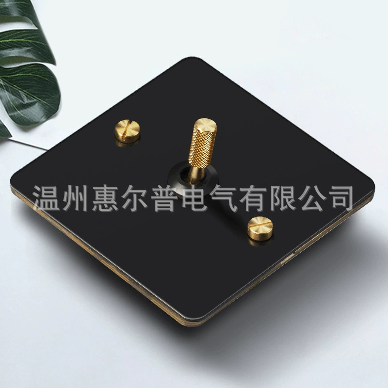 Mounted black retro switch key, light panel stainless steel