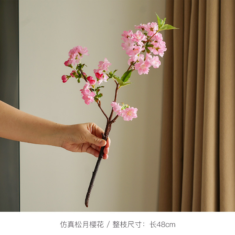 마츠츠키 사쿠라 딥 핑크