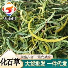 化石草肾精茶排石草茶石伟苇当年新货原大小叶化石草现货批发代发