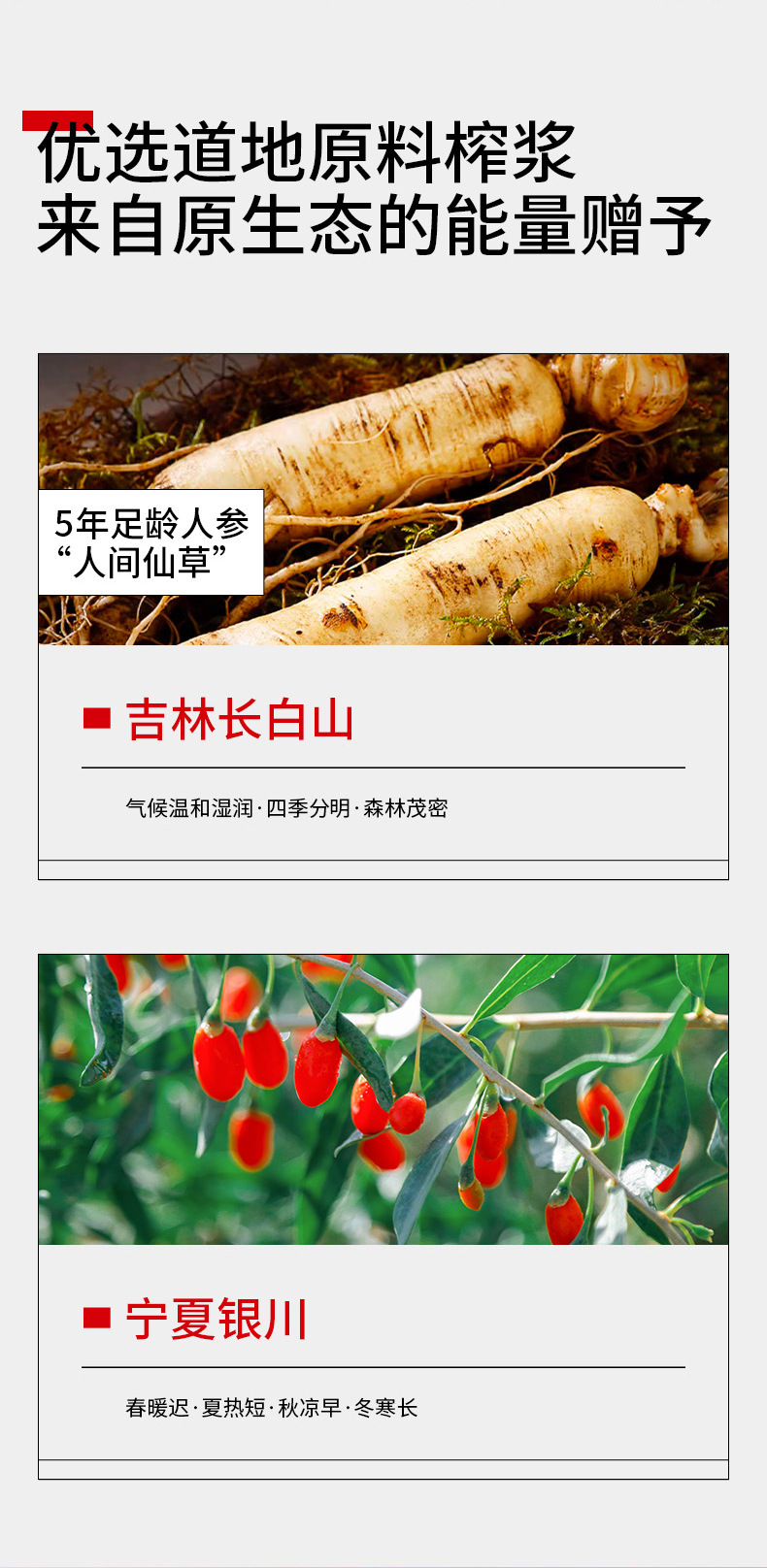 Ginseng Goji Berry Original Paste 1.2L 40 Sachets Value Pack New Year Gift Box key features