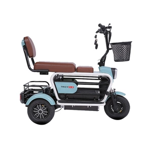 Electric Tricycle for Elderly/Pet Use