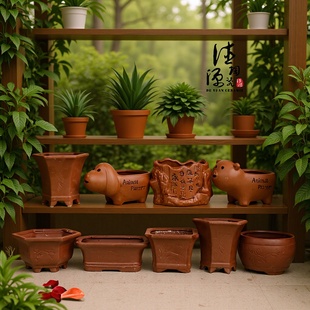 SlֱNqd13ɰմɰ⻨ɰͨͥ@ˇ