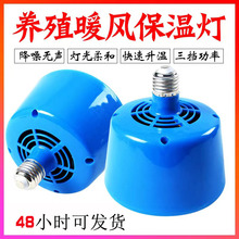 养殖场育雏保温器仔猪暖保温灯泡乌龟蜥蜴取暖灯泡爬虫保温灯畜牧