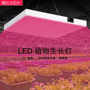 LED plant growth lamp/ultra-thin long plant growth lamp/quantum board fill light/greenhouse succulent seedling plant