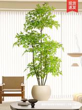 仿真植物南天竹落地盆栽仿生绿植摆件客厅沙发边家居装饰盆景假树