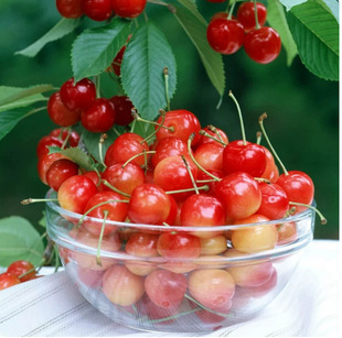����܇���Ә������Ҙ���������޽Ӱ�������ˮ�����Ϸ����Nֲ