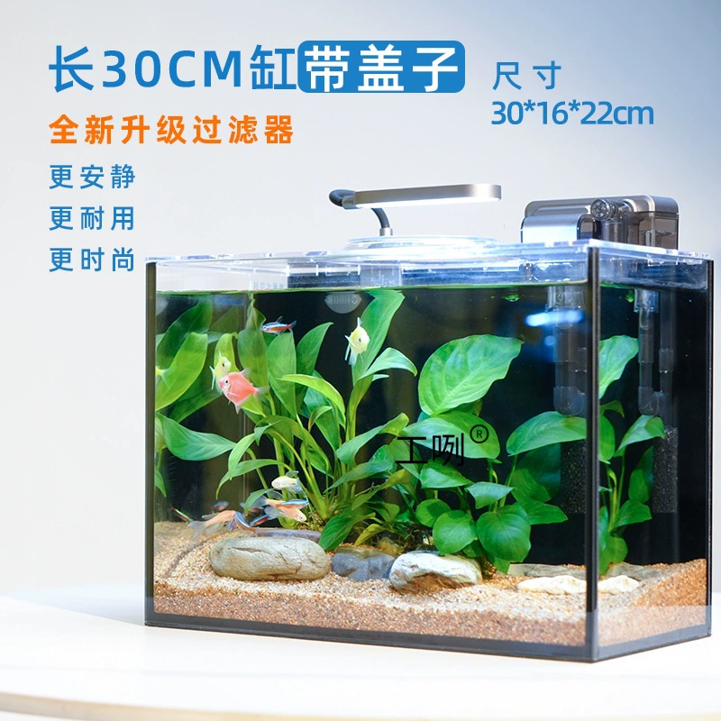 Ультрабелый стеклянный прямоугольный экологический аквариум для гостиной или домашнего офиса с комплектом для ландшафтного дизайна и аквариумными растениями