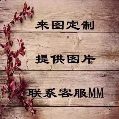 指定款式专拍 婚纱敬酒服婚纱伴娘服 喜宴回门礼服