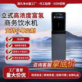 商用高浓度立式富氢水机家用制氢水机冷热一体饮水机反渗透氢水器