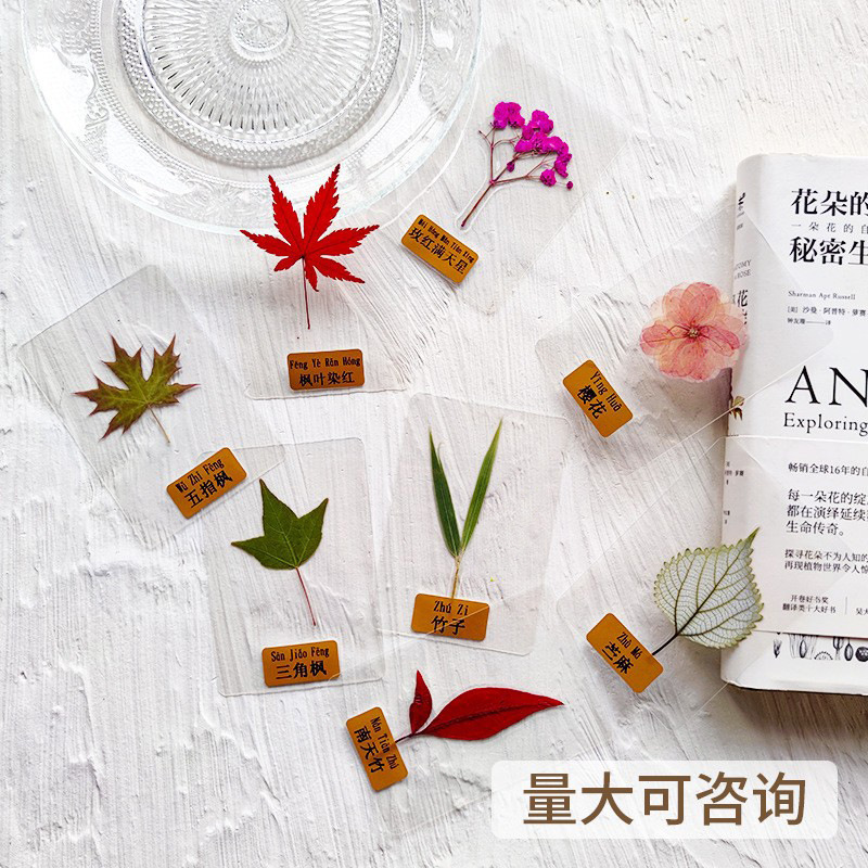 植物标本书签材料包古风押花书签手工diy材料干花工具中秋节自制