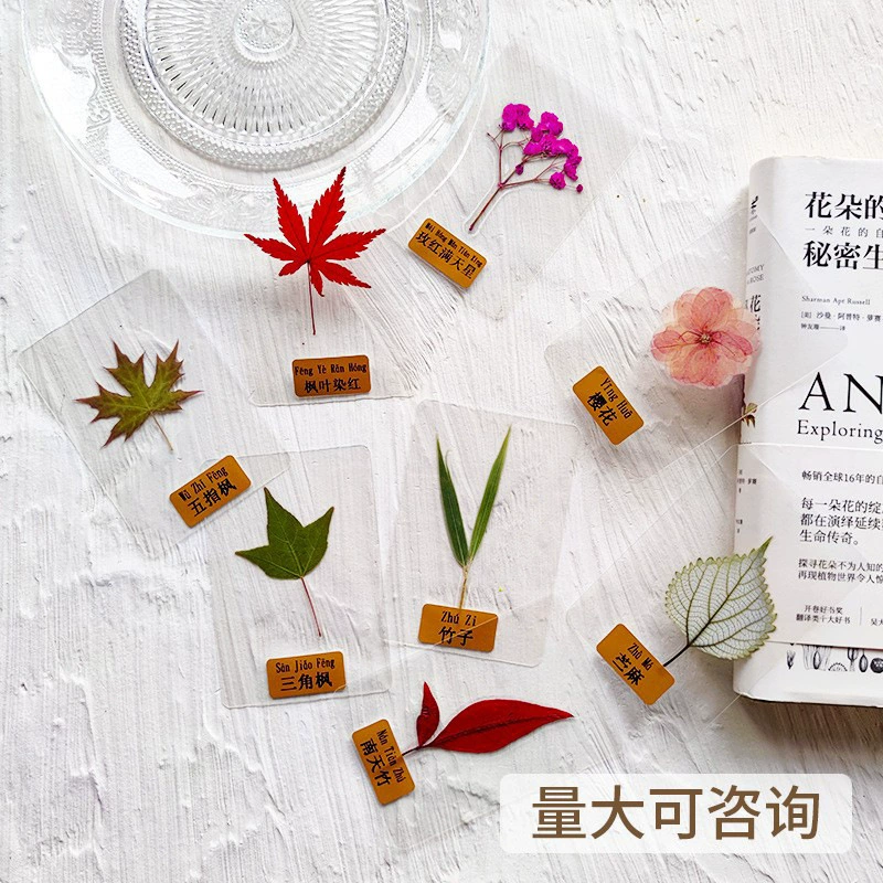 Набор для создания закладок из прессованных цветов, антикварные закладки из прессованных цветов, материалы для рукоделия, инструменты для сухоцветов, рождественские поделки