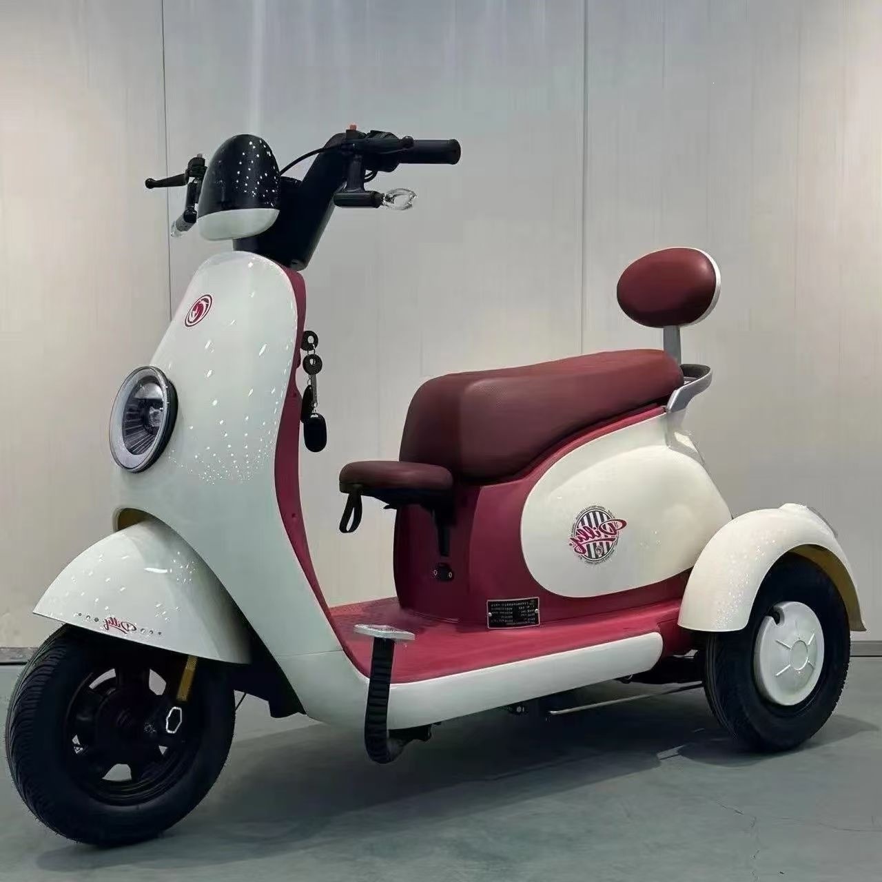 Triciclo Eléctrico Doméstico con Motor Diferencial para Uso Familiar y Transporte Diario
